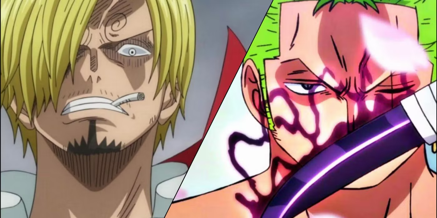 Zoro vs Sanji