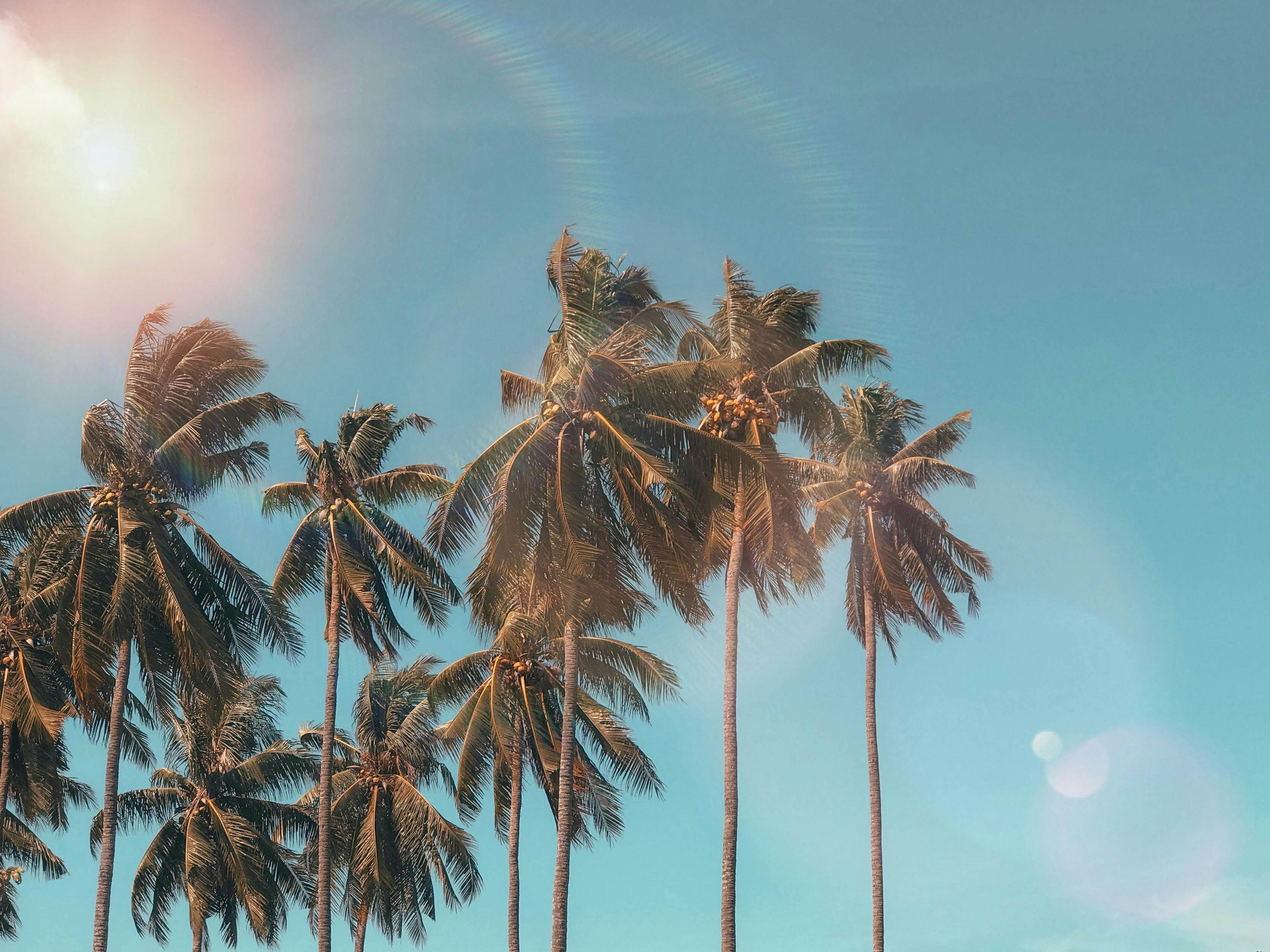 Summer Hits