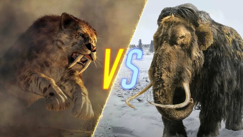 Ice Age 1v1s