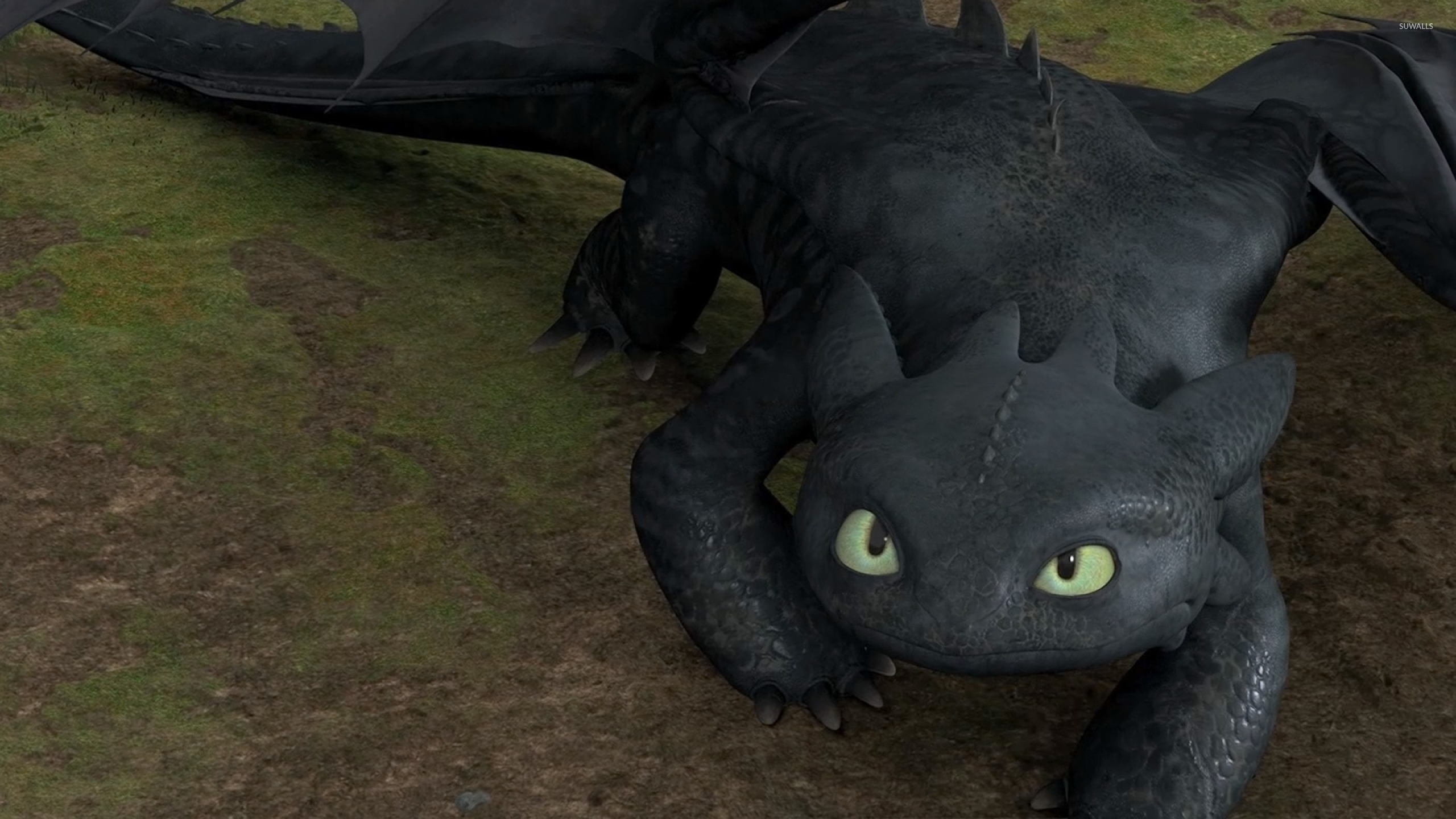 Dragons in Movies