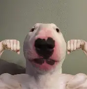 idk