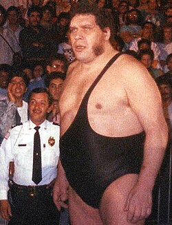 Every WWE Hall Of Famer