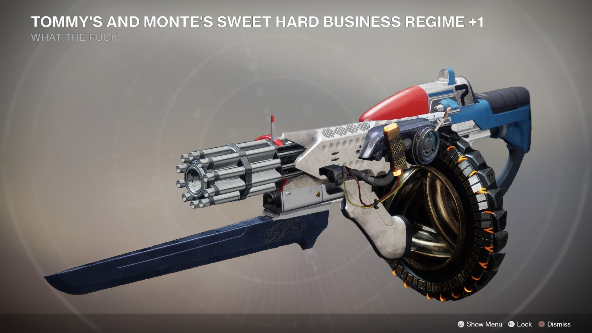 Destiny 2 (far too many) Weapons