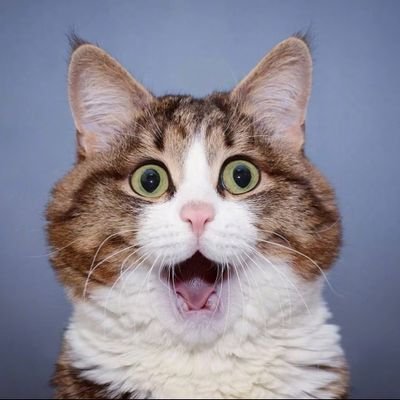 32 VGM songs I like