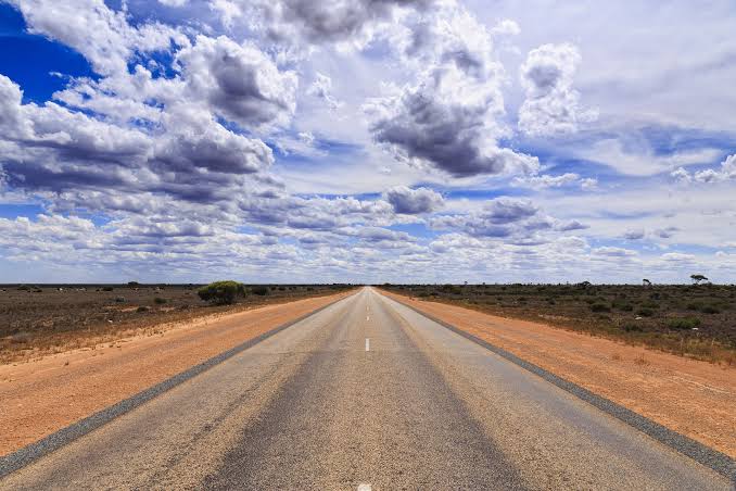 Migliori Road Movie della Storia