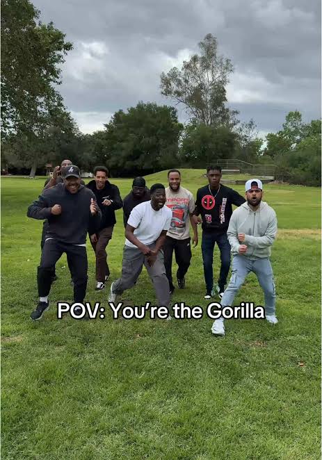 Which of these animals that RDC CAN win in a Fight
