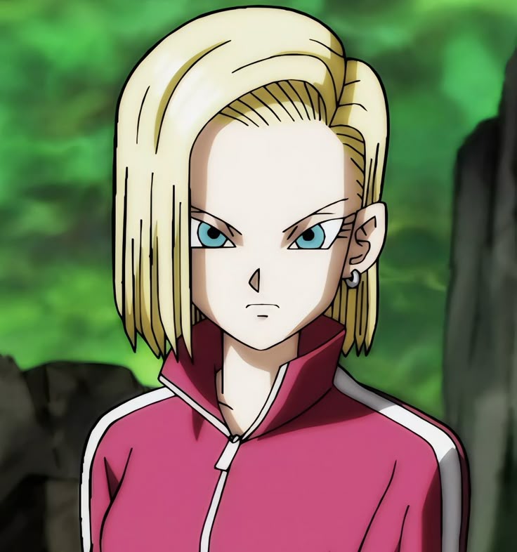 Top Dragon Ball women characters: smash or pass