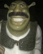 Steve Harvey Shrek