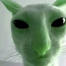 Glorp Cat