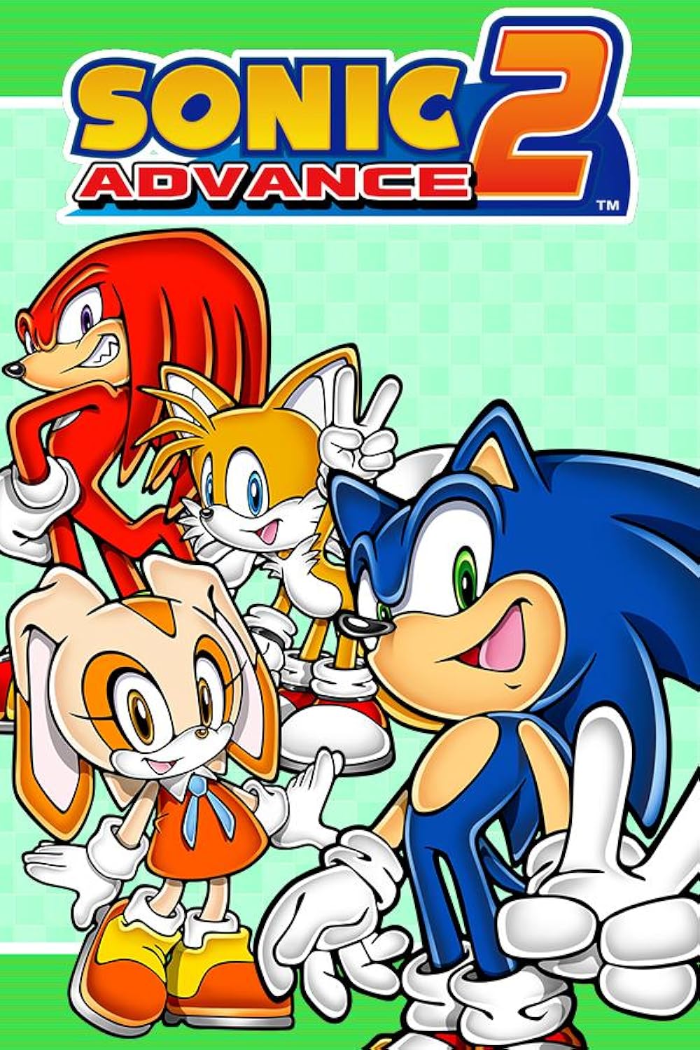 Sonic Advance 2