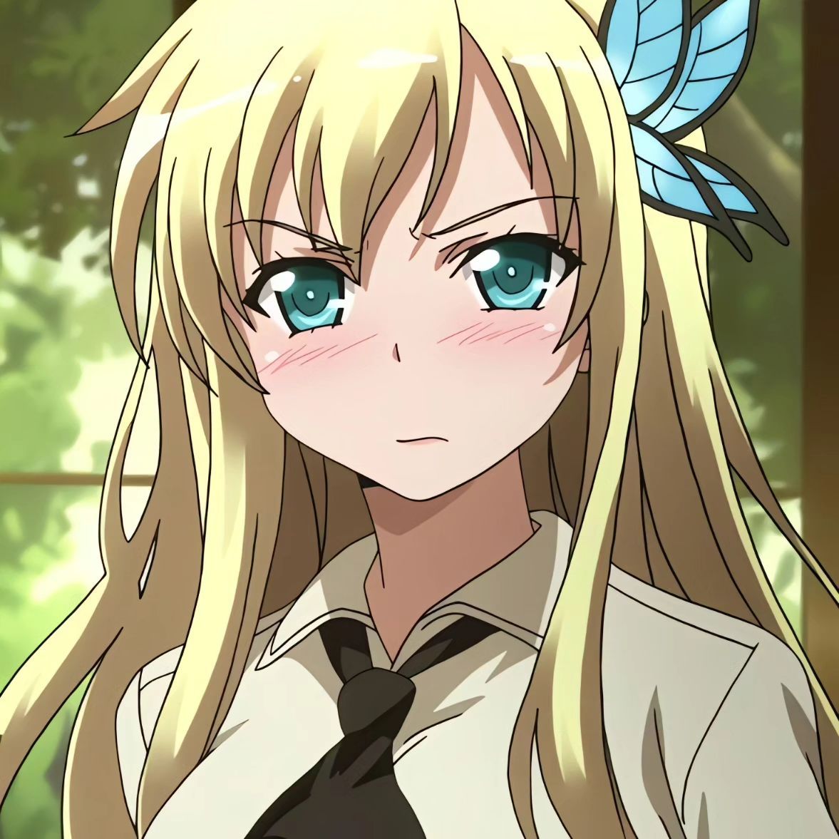 Sena Kashiwazaki(Haganai)