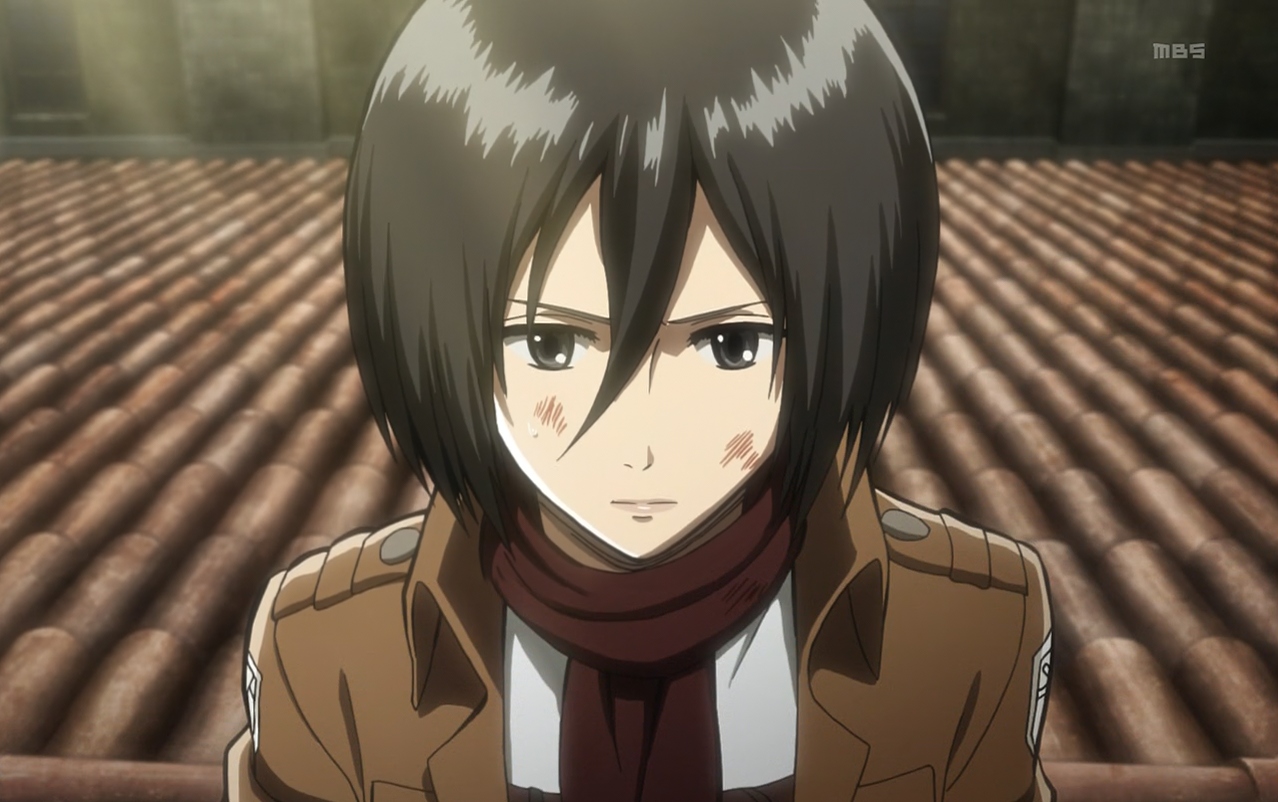 Mikasa (AOT)
