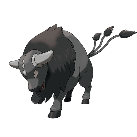 Tauros (Paldean, Combat)