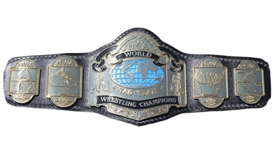 NWA World Tag Team Championship ('92-'13)