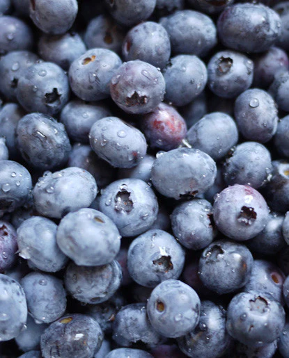 Blueberry