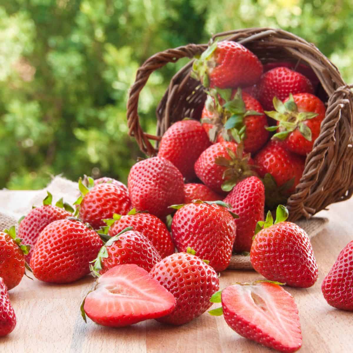 Strawberry 