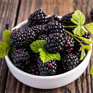 Blackberry