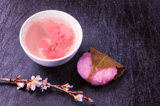 Cherry Blossom