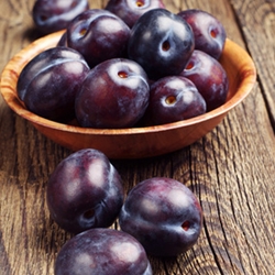 Plum